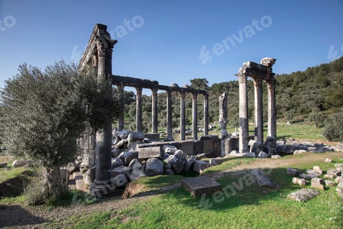 Preview: Temple of Zeus Lepsinos Euromus Turkey