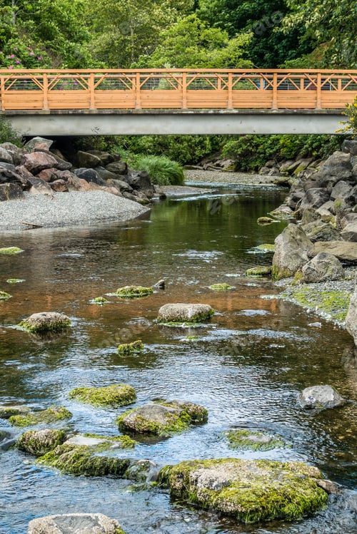 Preview: A Walking Bridge Spans A Stream In Des Moines, Washington.