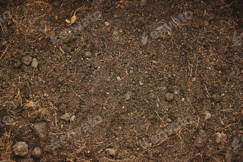 Preview: Brown soil background for gardening