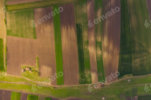 Preview: agricultural hills in spring. Seasonal work concept image.