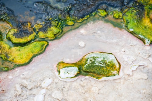 Preview: Close Up Photo of Colourful Geothermal Activity at Orakei Korako Thermal Park, The Hidden Valley, No