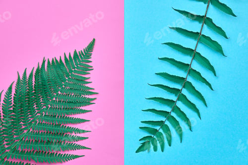 Preview: Minimal
