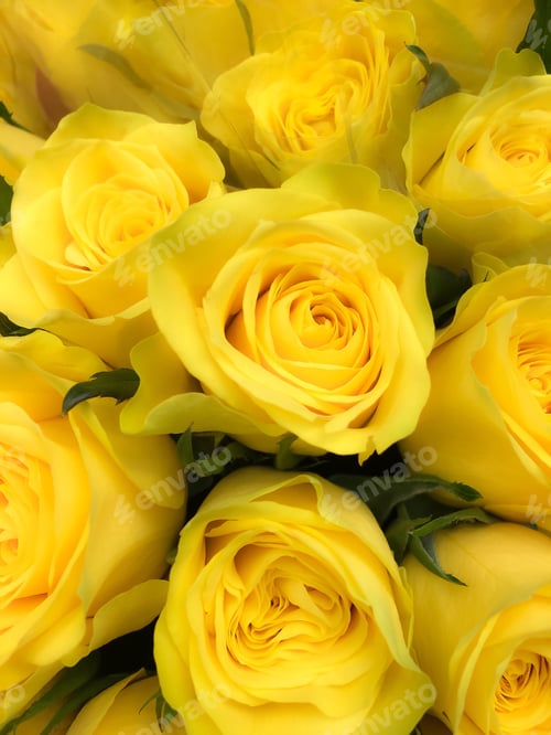 Preview: A bunch of flowers , yellow roses