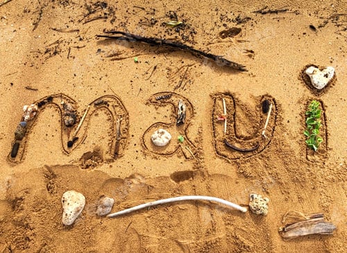 Preview: Maui words in the wild written in the sand and used sea shells, plants and local sticks.