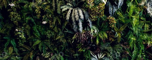 Preview: Herb wall, plant wall, natural green wallpaper and background.