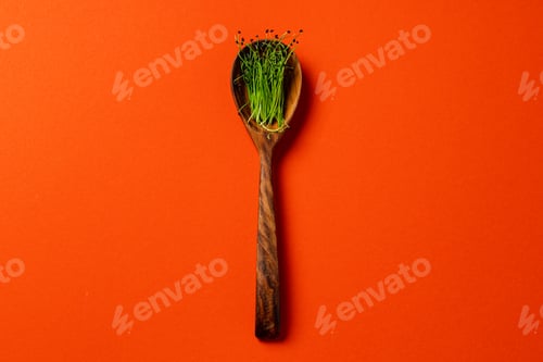 Preview: Micro greens in wooden spoon on paper background