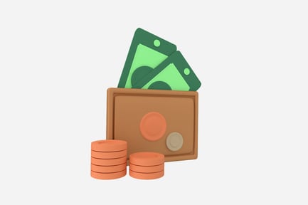 Preview: Budget Travel Money Wallet