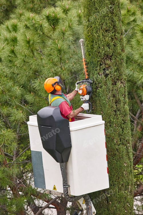 Preview: Equipped worker pruning a tree on a crane. Gardening