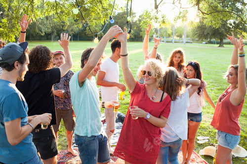 Preview: Crowd of adult friends dancing at party in park at sunset