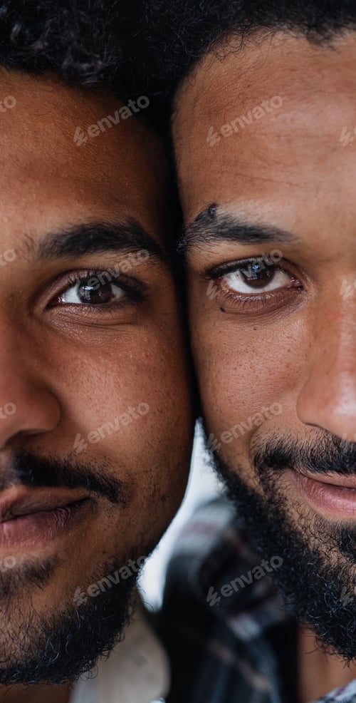 Preview: Close-up portrait of young adult brothers looking at camera