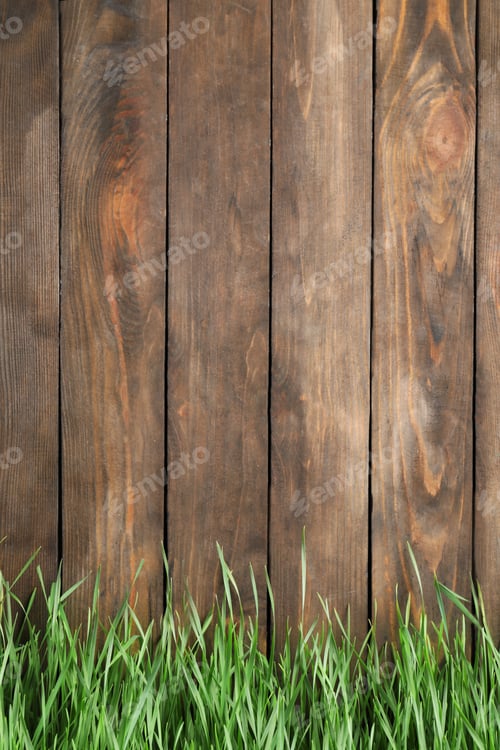 Preview: Fresh green grass near wooden fence. Space for text