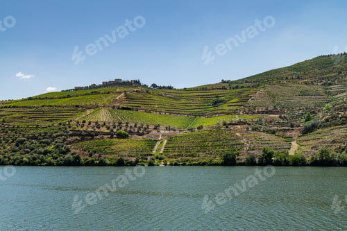 Preview: Point of view shot of terraced vineyards in Douro Valley