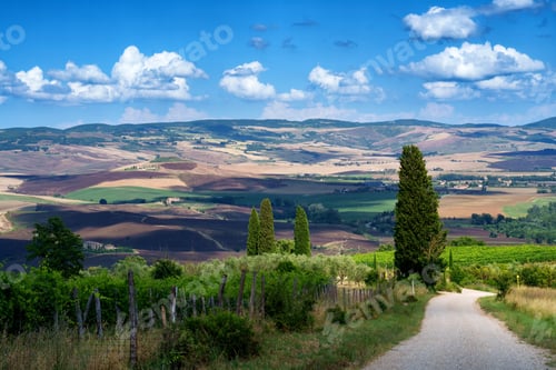 Preview: Rural landscape in Tuscany near San Quirico d Orcia