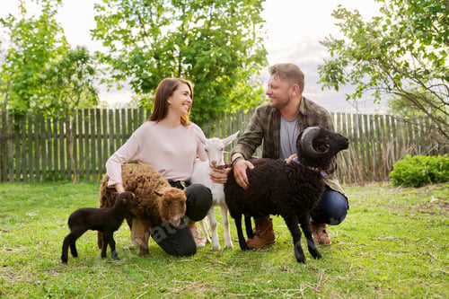Preview: Small farm with ouessant sheep and goat, portrait of family couple of farm owners