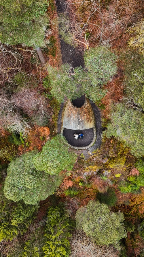 Preview: Aerial view of a wooden shelter in an autumn forest.