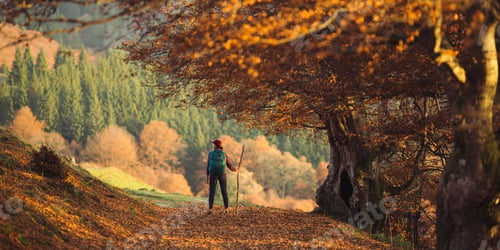 Preview: Female Hiker Exploring Autumn Forest in Mountain Landscape
