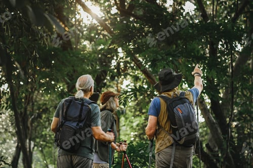 Preview: Seniors trekking in a forest, vivid tone