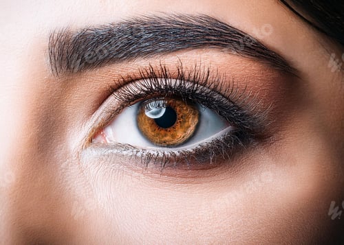 Preview: Close up of a human eye