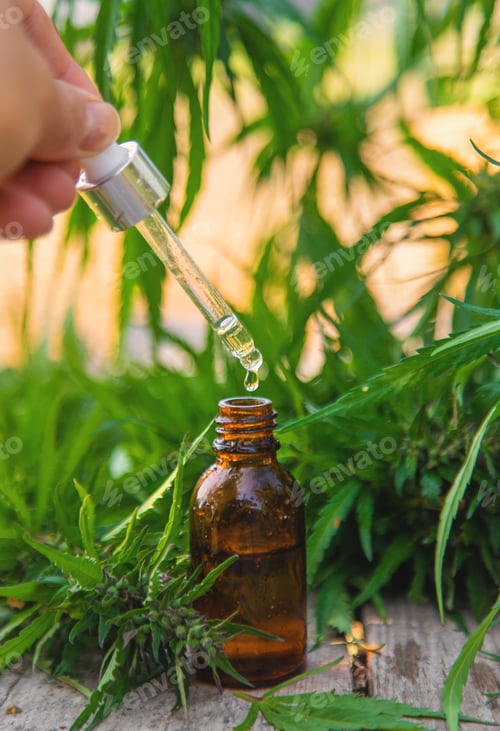 Preview: Hemp essential oil in a bottle. selective focus.