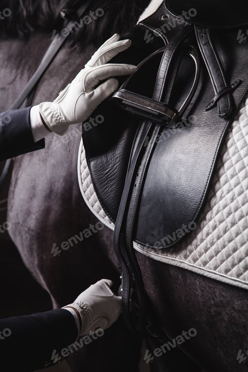 Preview: Jockey prepearing horse for the ride