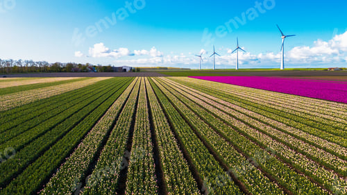Preview: A sprawling field of crops stretches towards the horizon, with majestic wind turbines standing tall