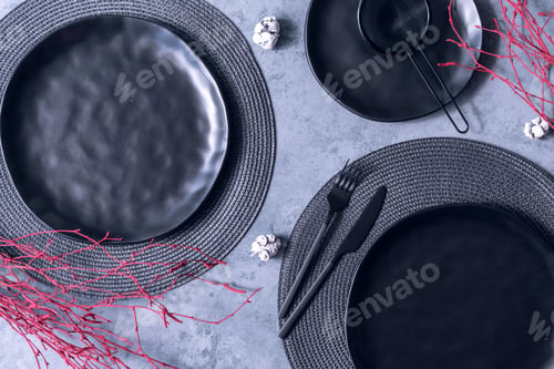 Preview: Top view of a black plate, fork, knife, strainer, and placemat with red dried twigs on the table