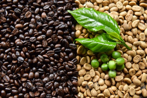 Preview: Roasted coffee beans background.Coffee Beans Local Coffee Shop