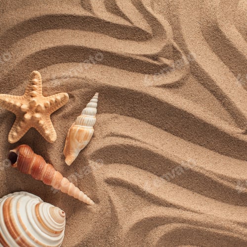 Preview: Starfish And Shells With Sand As Background. Sand Texture