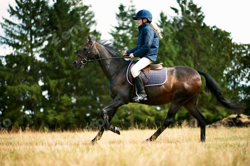 Preview: Girl riding horse in field