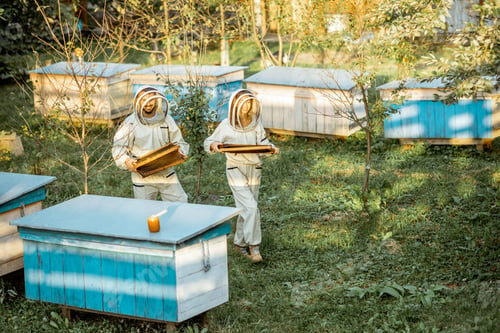 Preview: Beekeepers on the apiary