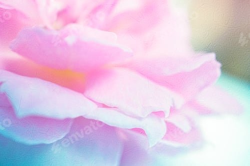 Preview: Sweet Roses In Soft Color Style On Mulberry Paper Texture For Romantic Background
