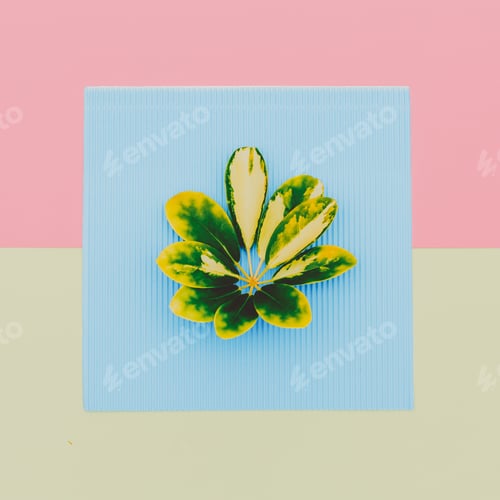 Preview: leaf of a plant. Minimal art design