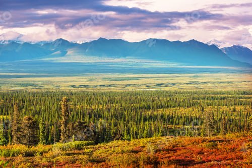 Preview: Autumn in Alaska