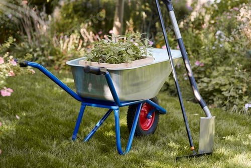 Preview: Shot of wheelbarrow with seedling, rake and shovel