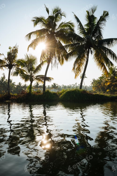 Preview: India, Kerala, Backwaters and palms near Paravoor