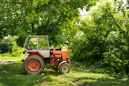 Preview: A vintage red tractor parked under a lush green tree on a sunny day, showcasing rural and