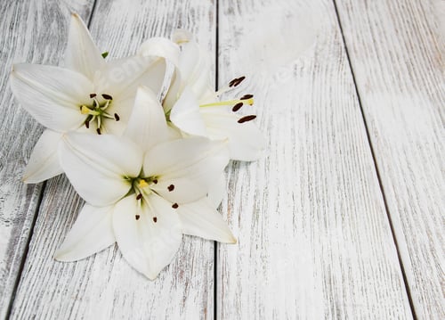 Preview: White lilies