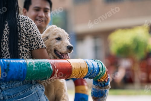 Preview: Couple with their new puppy dog on a park