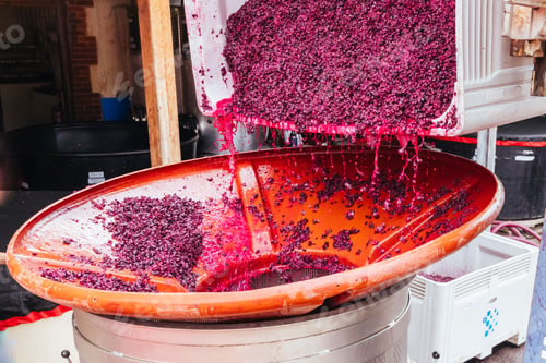 Preview: Hardys Winery in Mclaren Vale Australia