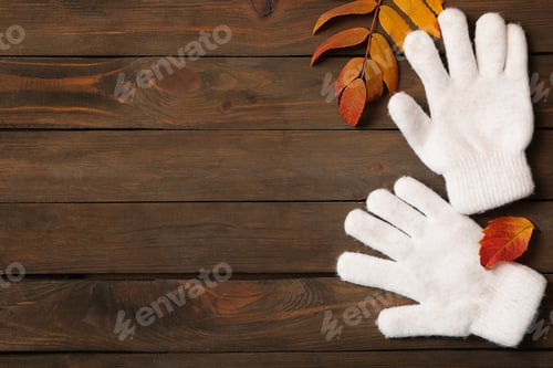 Preview: Stylish white woolen gloves and dry leaves on wooden table, flat lay. Space for text