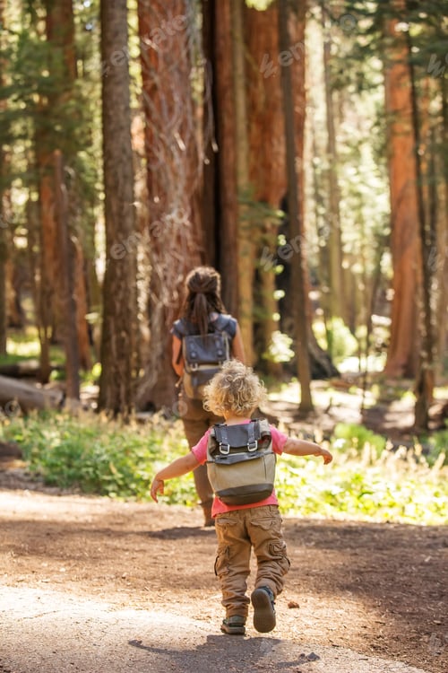 Preview: Family With Boy Visit Sequoia National Park In California, Usa