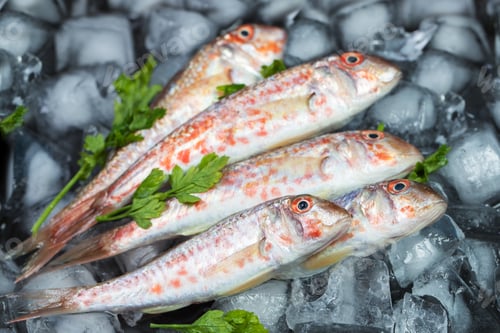 Preview: Fresh fish