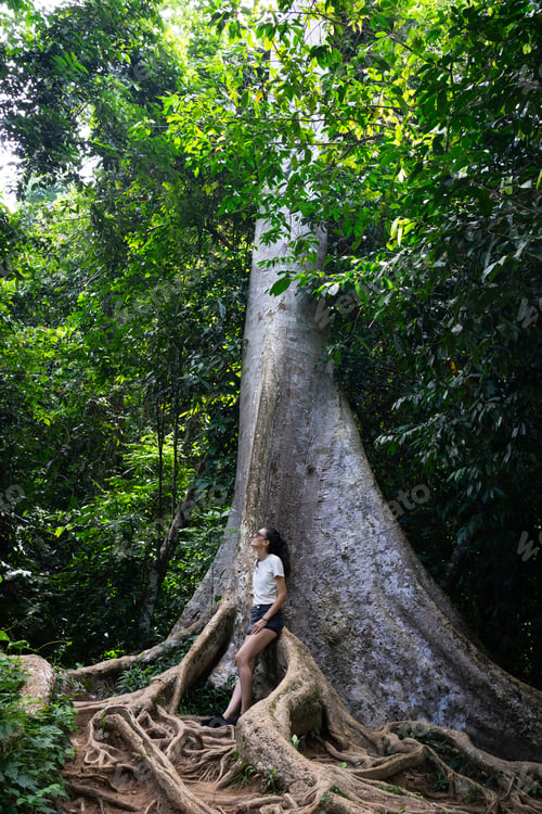Preview: Tourist admiring giant tree in tropical rainforest: exploring nature's majesty