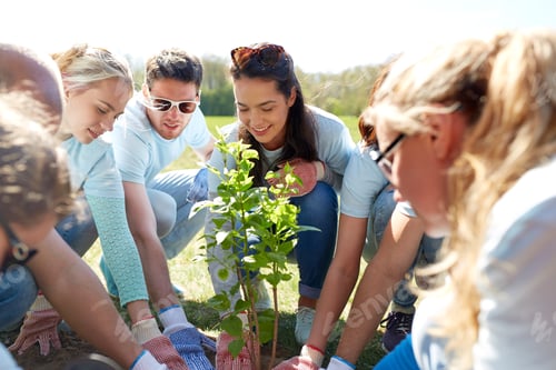 Preview: group of volunteers planting tree in park