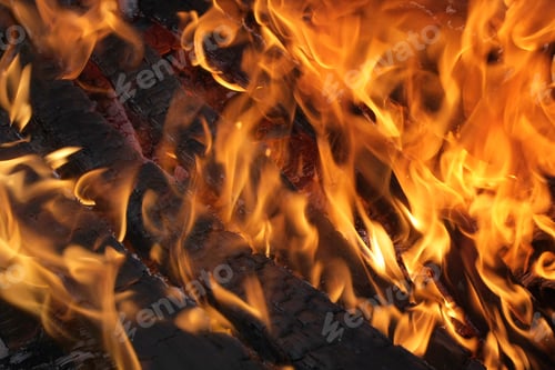 Preview: Burning Wood