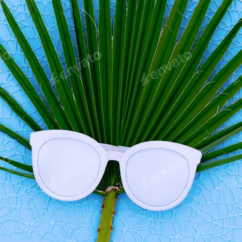 Preview: Fashion sunglasses and palm background Minimal fashion art
