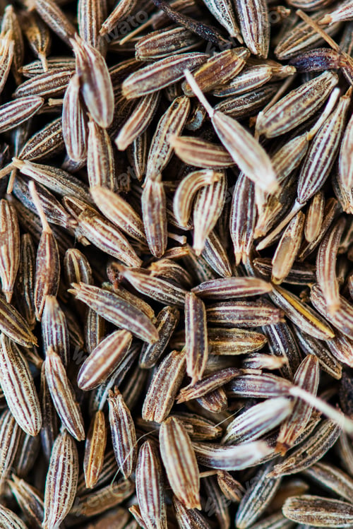 Preview: Closeup of cumin seed
