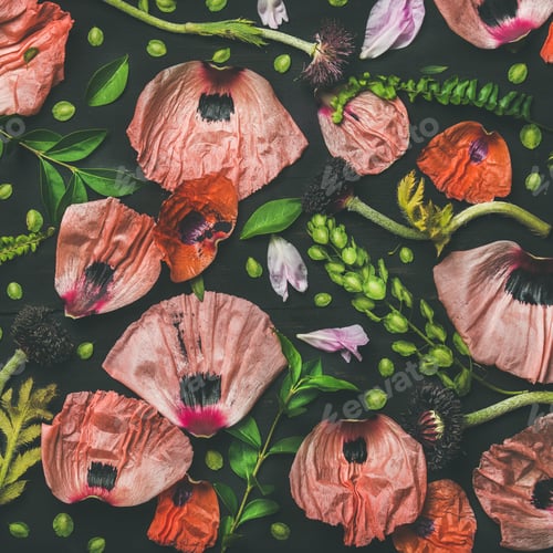 Preview: Flower petals, green branches and leaves