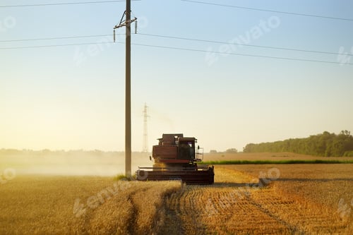 Preview: field