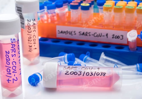 Preview: Vials with samples of SARS-COV-1 prepared cold in a laboratory